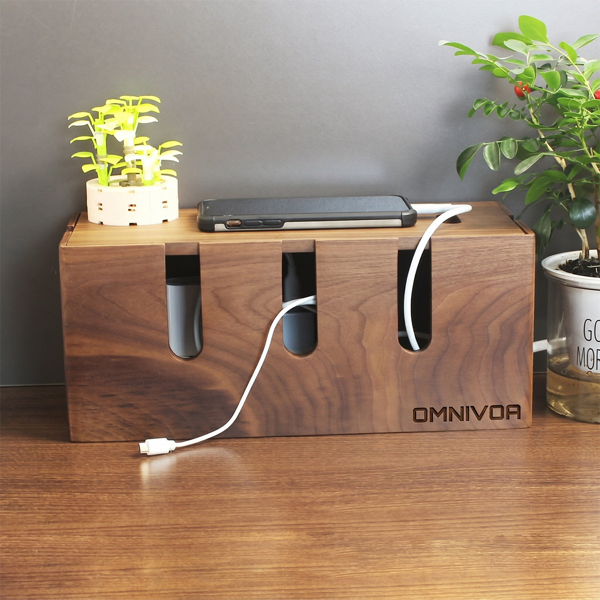 OMNIVOA Cable Box — Wide Walnut